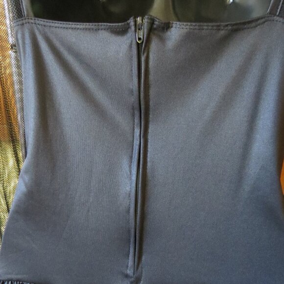 Fallen Angel Women's Costume-includes accessories - Picture 5 of 12